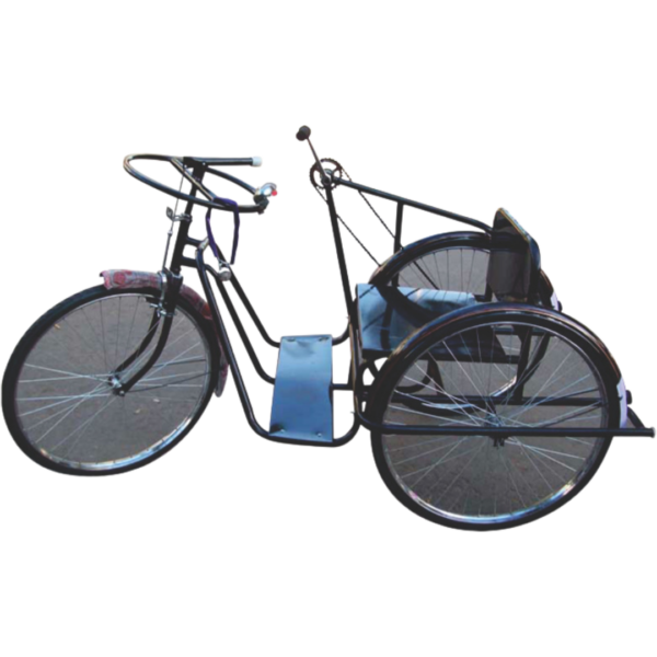 Tricycle for Physically Challenged